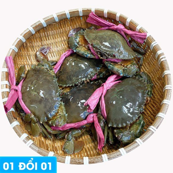 Cua Thịt Sống