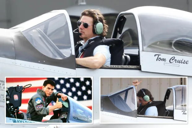 does tom cruise own a l 39