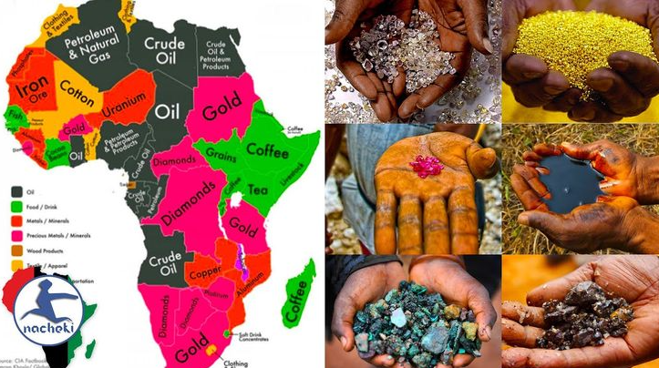 which is not an abundant natural resource found in africa?