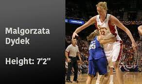 average wnba player height