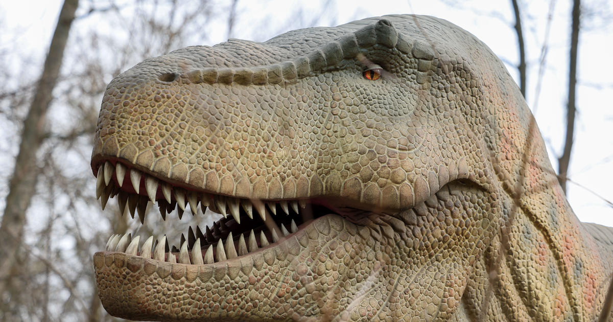 what dinosaur has the most teeth