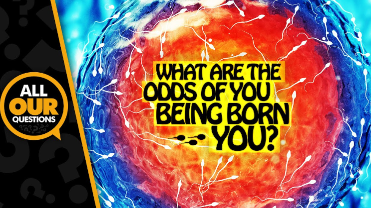 what are the odds of being born