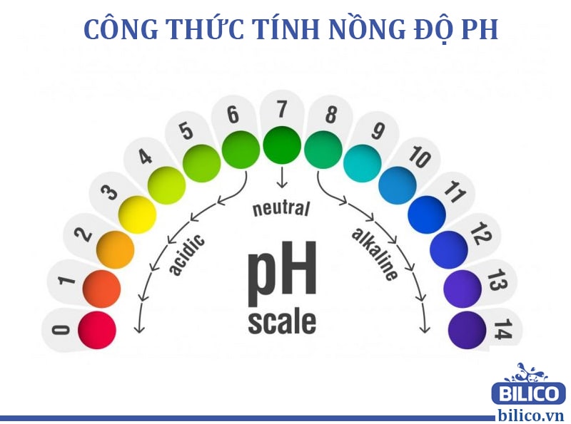 ph of ginger