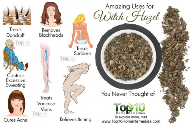 substitute for witch hazel