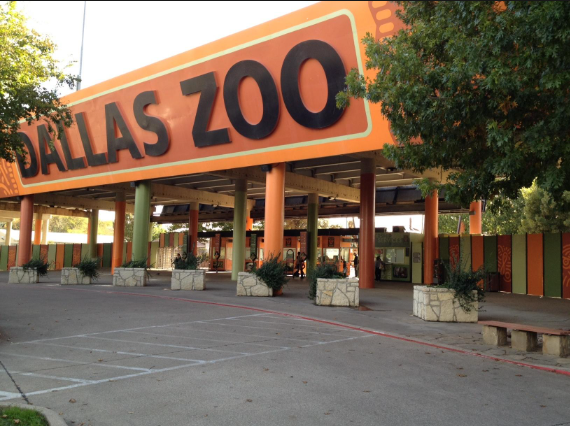 dallas zoo vs fort worth zoo