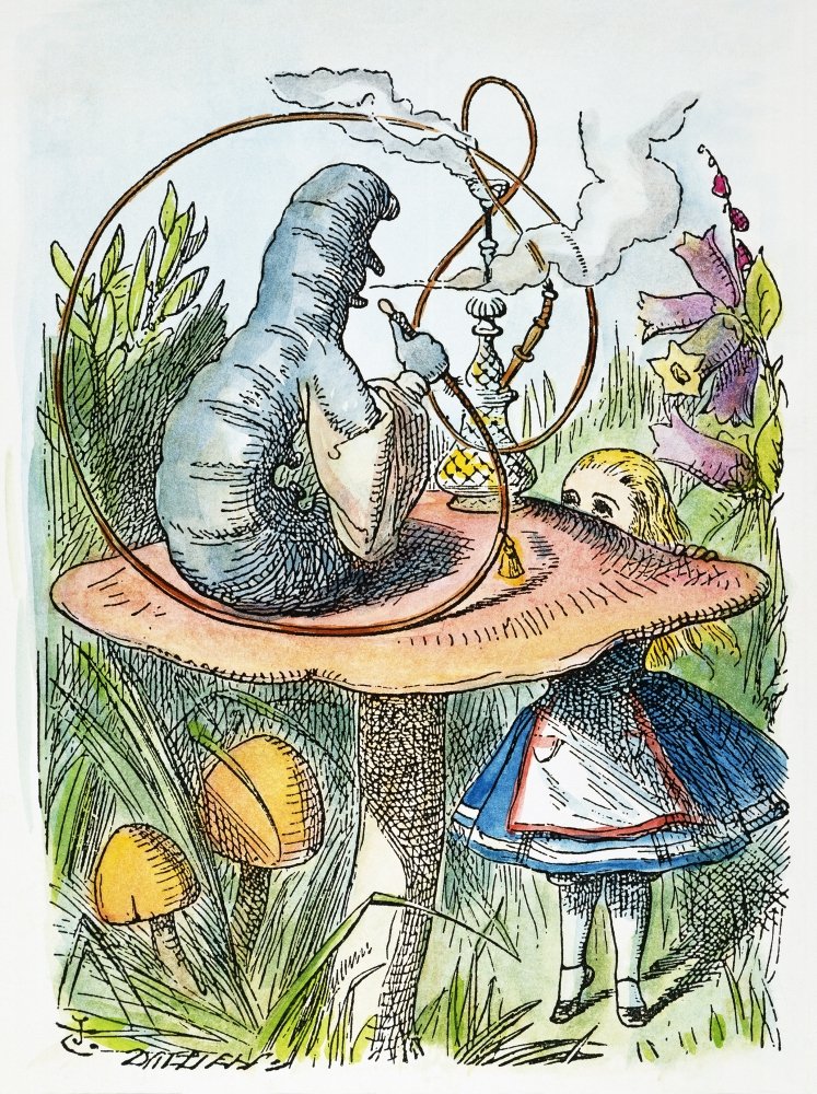 alice in wonderland caterpillar name