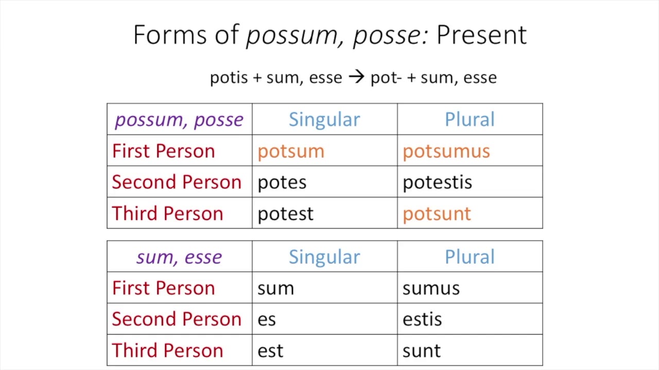 plural for possum