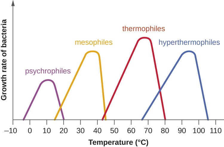 which food is at a temperature that allows bacteria to grow well