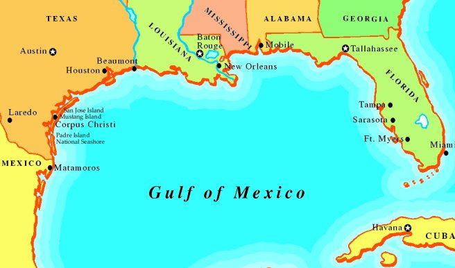 how many states border gulf of mexico