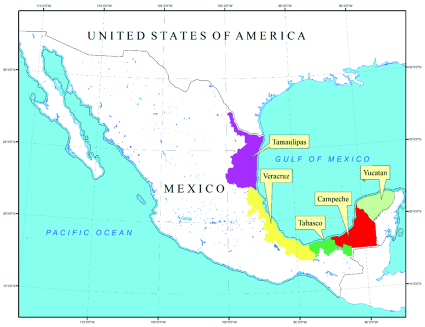 how many states border gulf of mexico