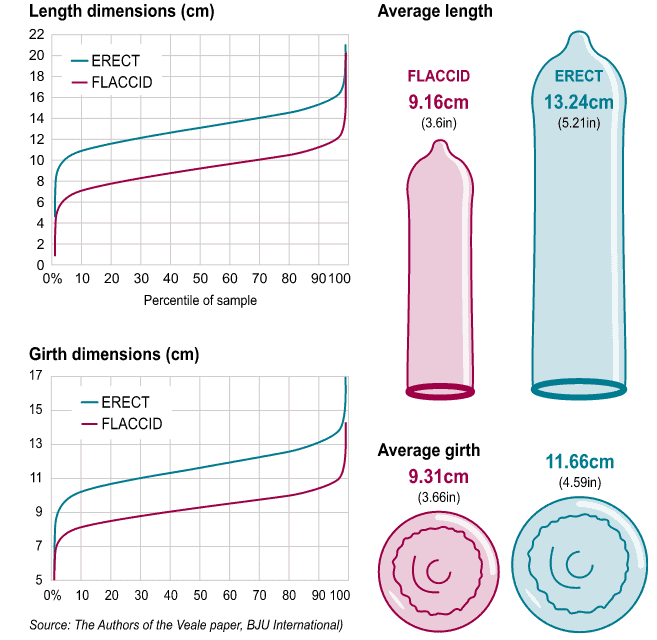 whats the average size for a man