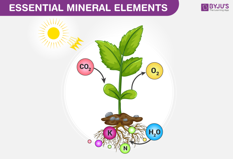 which rocks will likely weather the least?