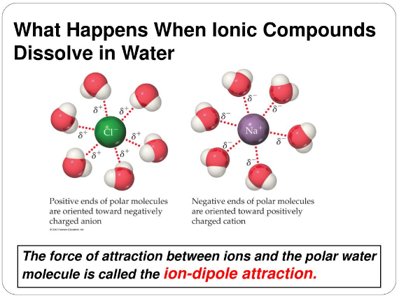 which would be least likely to completely dissolve in water?