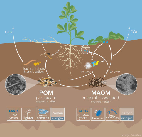 how to make organic matter in little alchemy 2