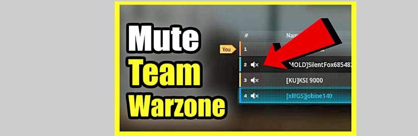 how to mute teammate in warzone