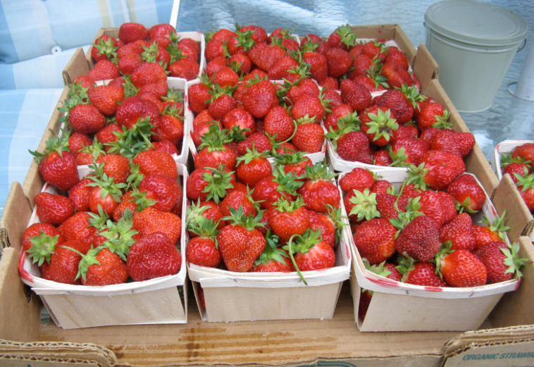 how many quarts are in a pound of strawberries