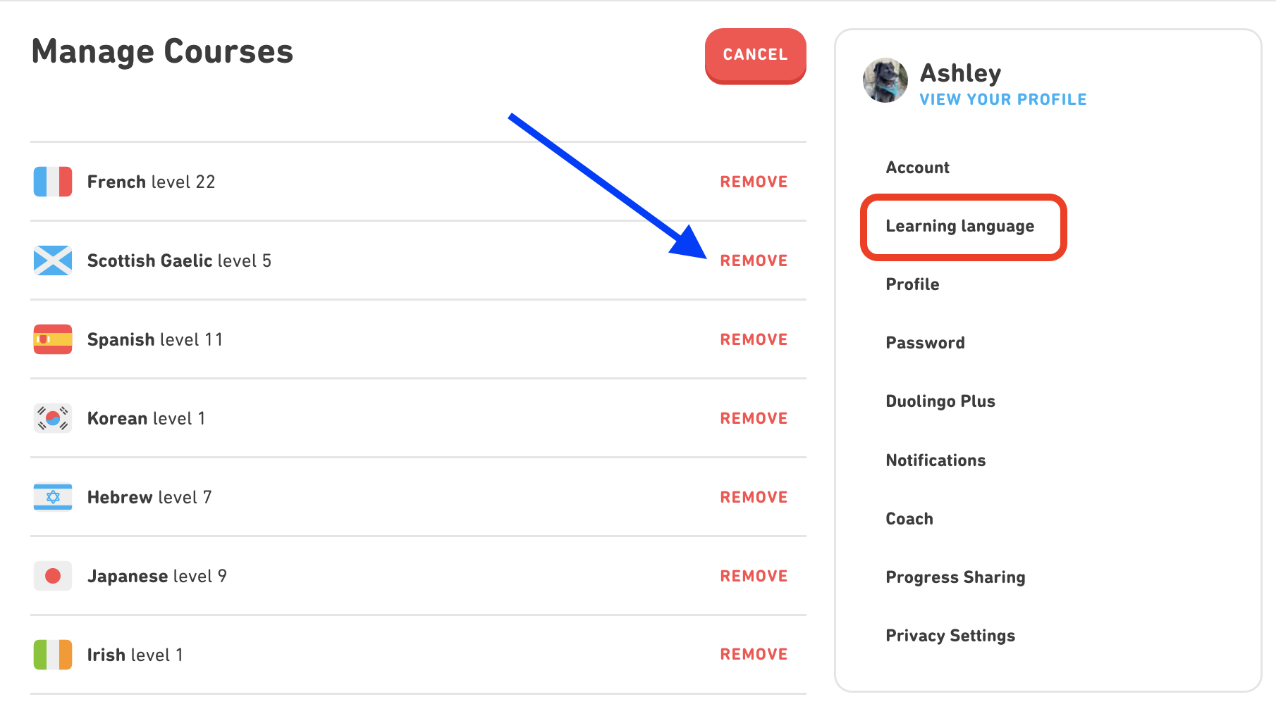 how to remove a language on duolingo