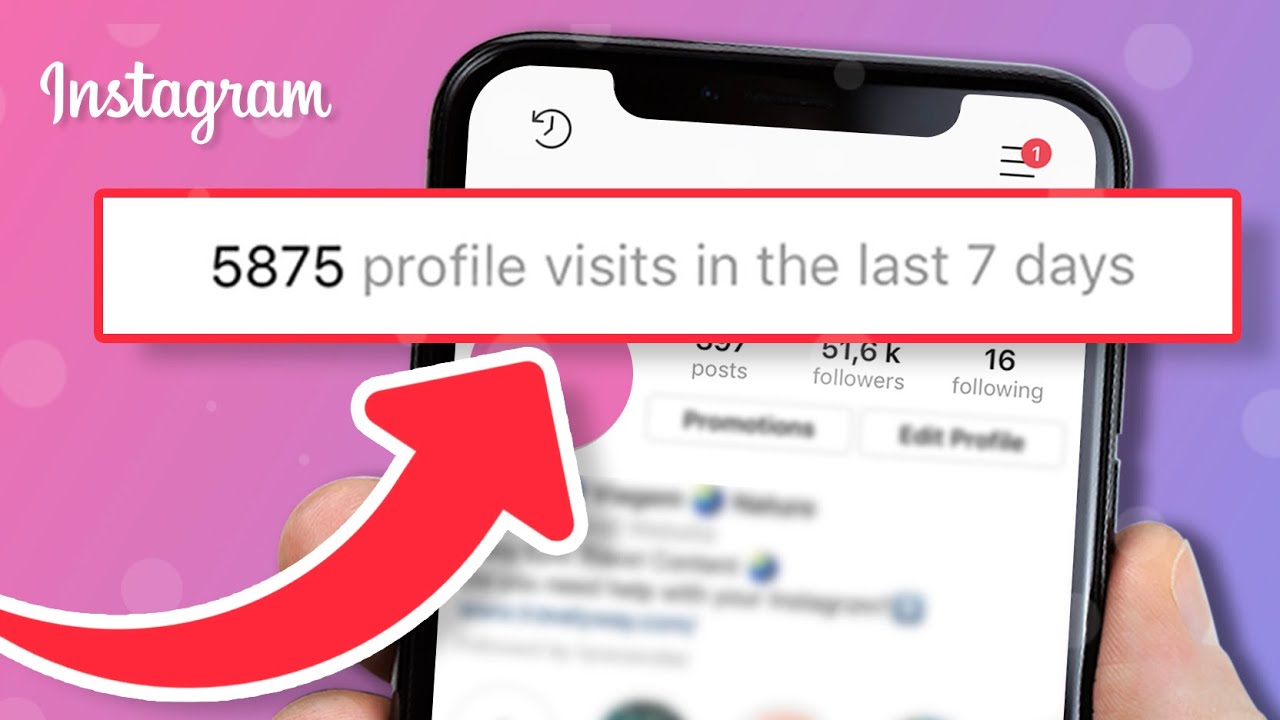 how to see recently viewed profiles on instagram