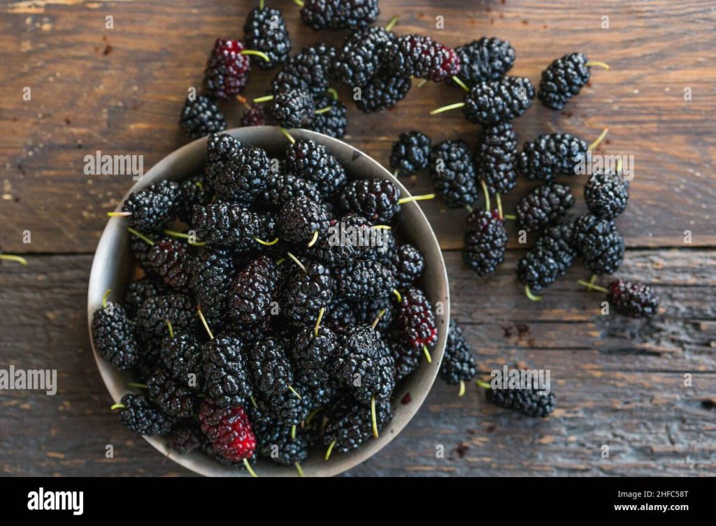 how to clean mulberries