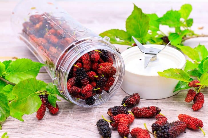 how to clean mulberries