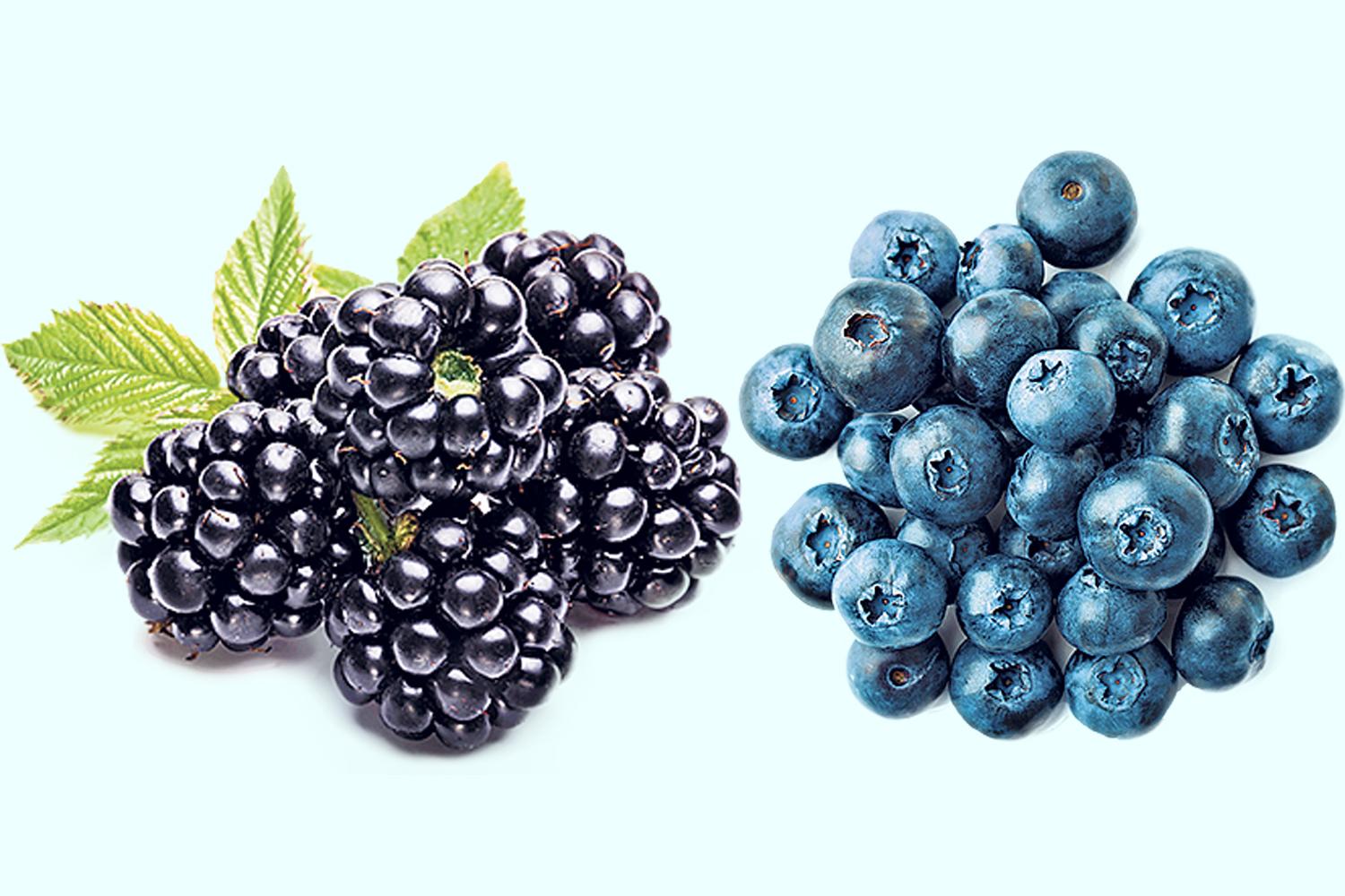 blueberries vs blackberries