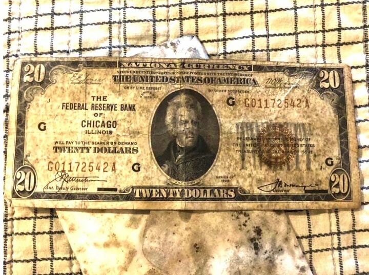 moldy money