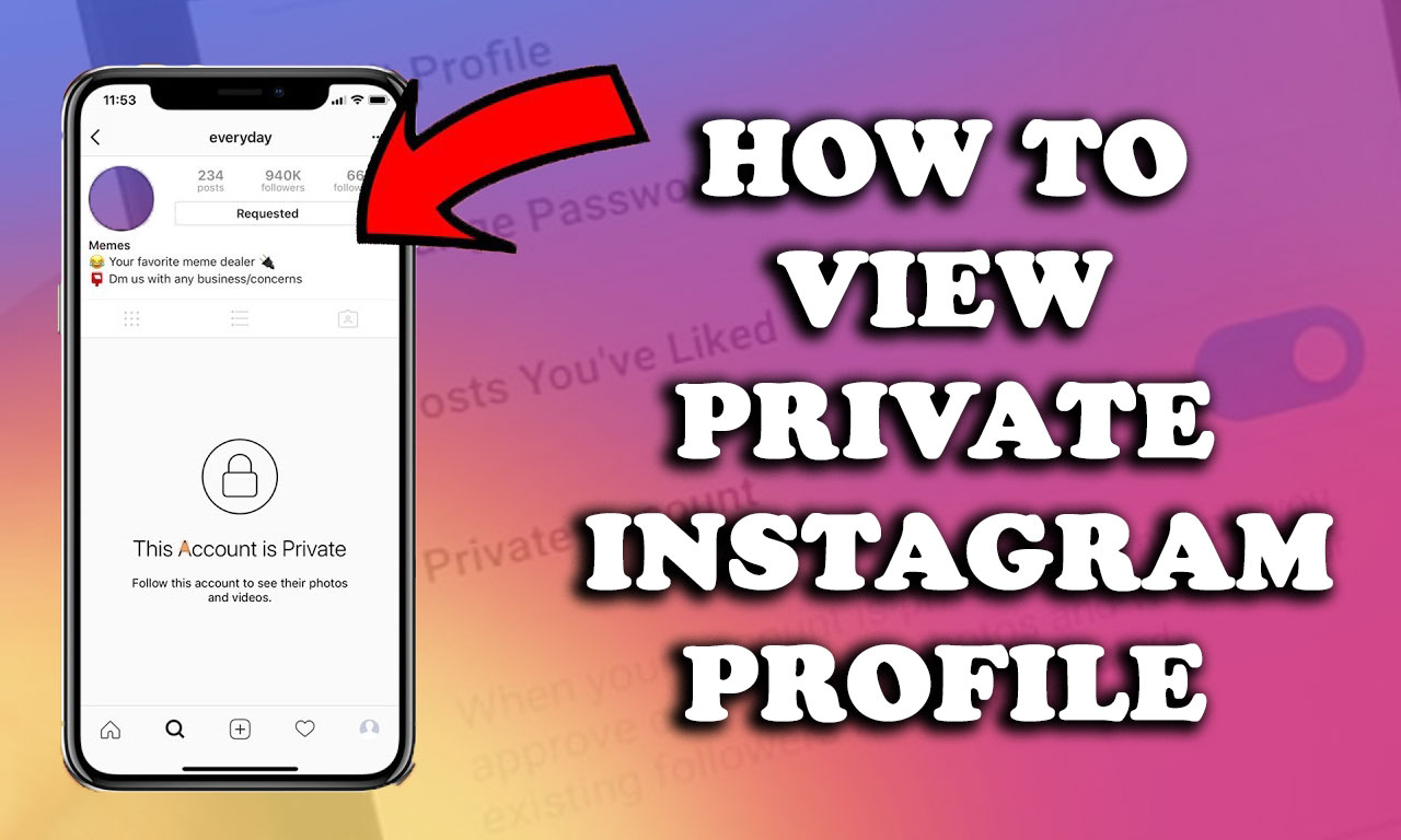 how to view private instagram profiles 2021 reddit