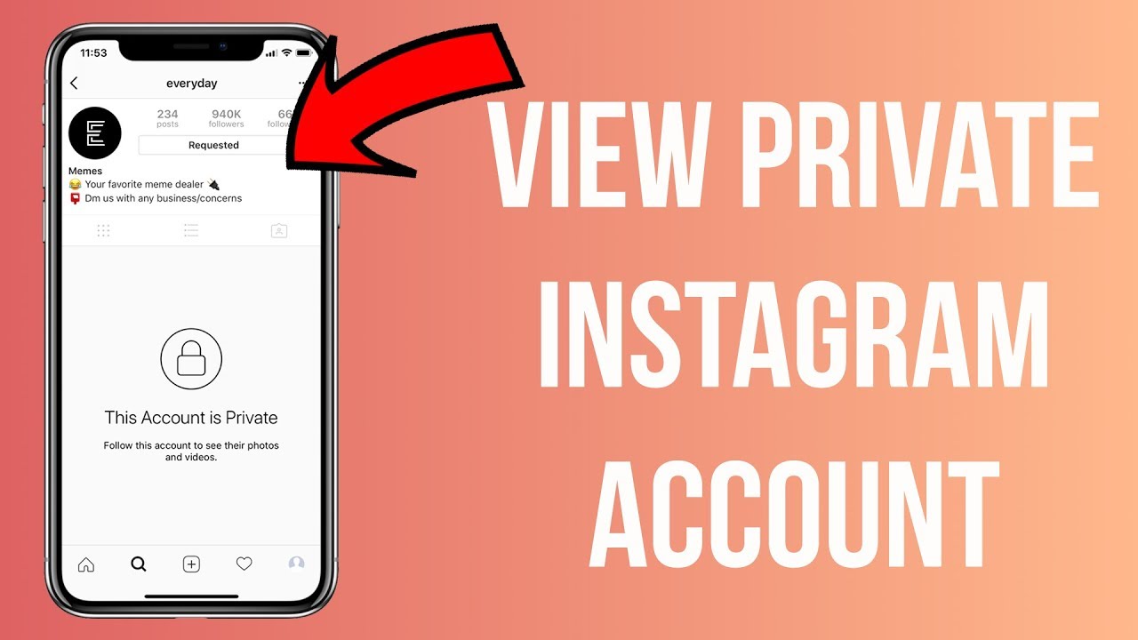 how to view private instagram profiles 2021 reddit