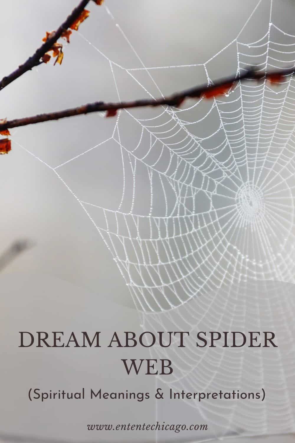 walking through a spider web spiritual meaning