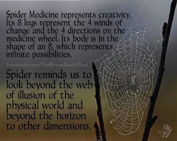 walking through a spider web spiritual meaning