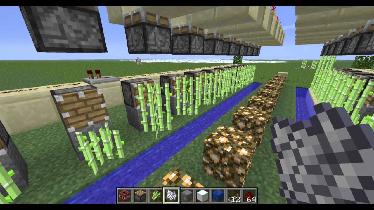 how to grow sugarcane minecraft