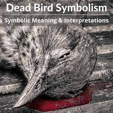 what does it mean when you see a dead bird