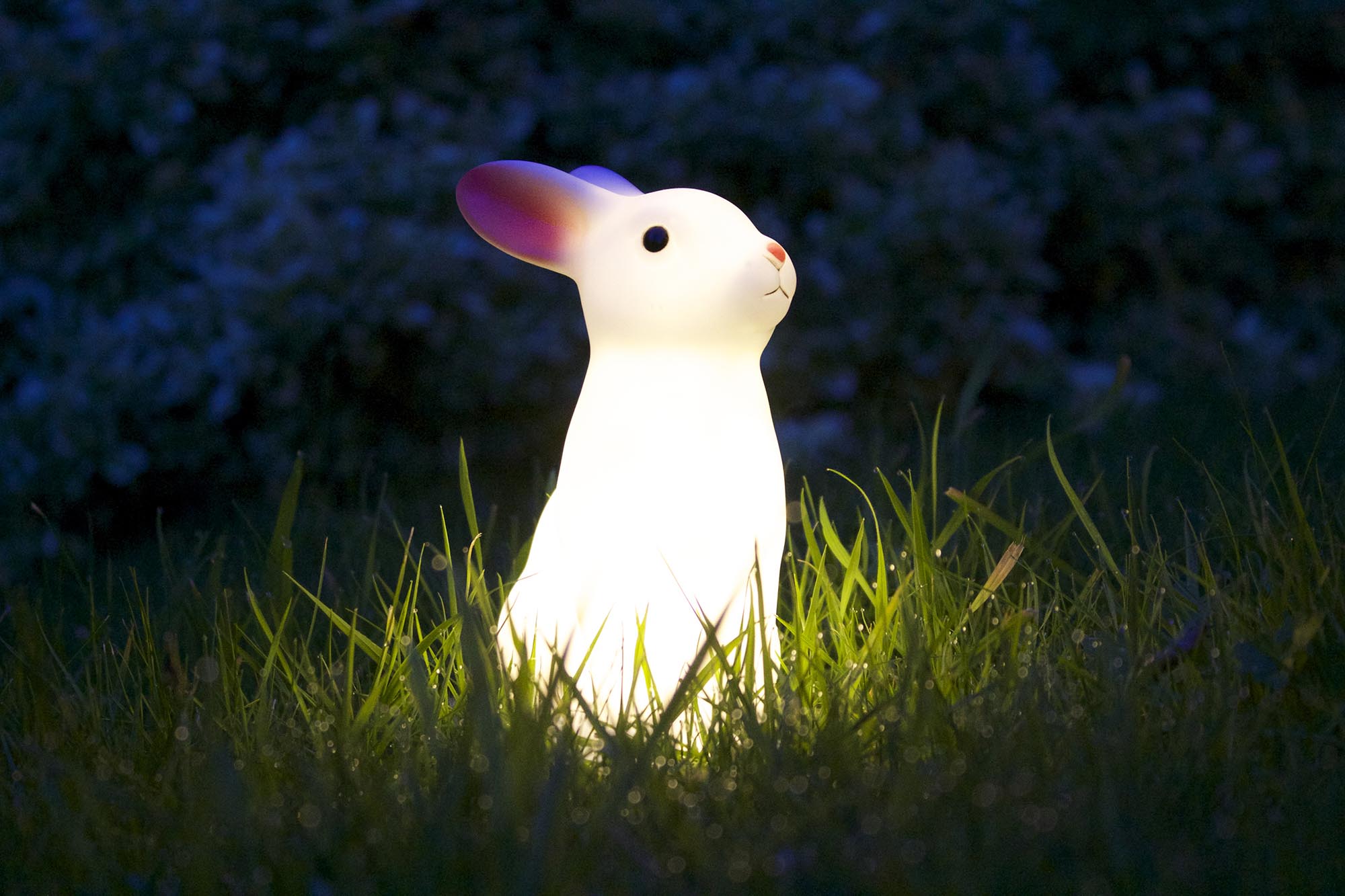 seeing a rabbit at night meaning