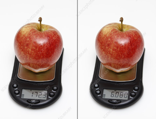 how much does an apple weigh in lbs