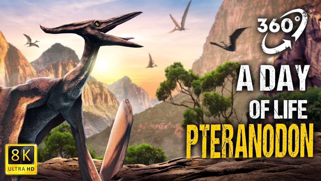 tame a pteranodon in ark