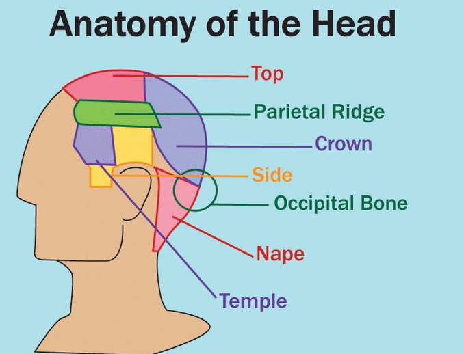 lines on side of head haircut