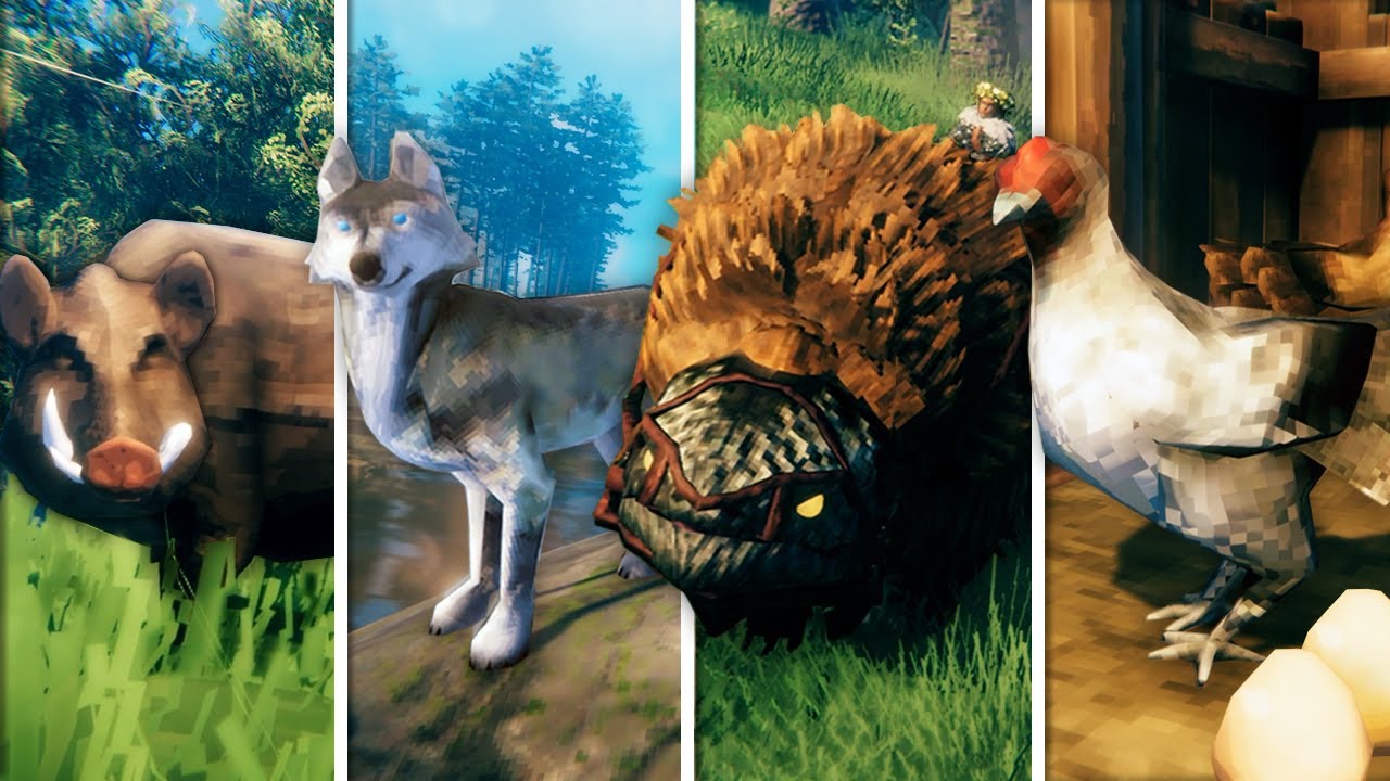 valheim chickens