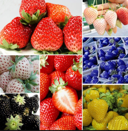 what color are strawberry seeds
