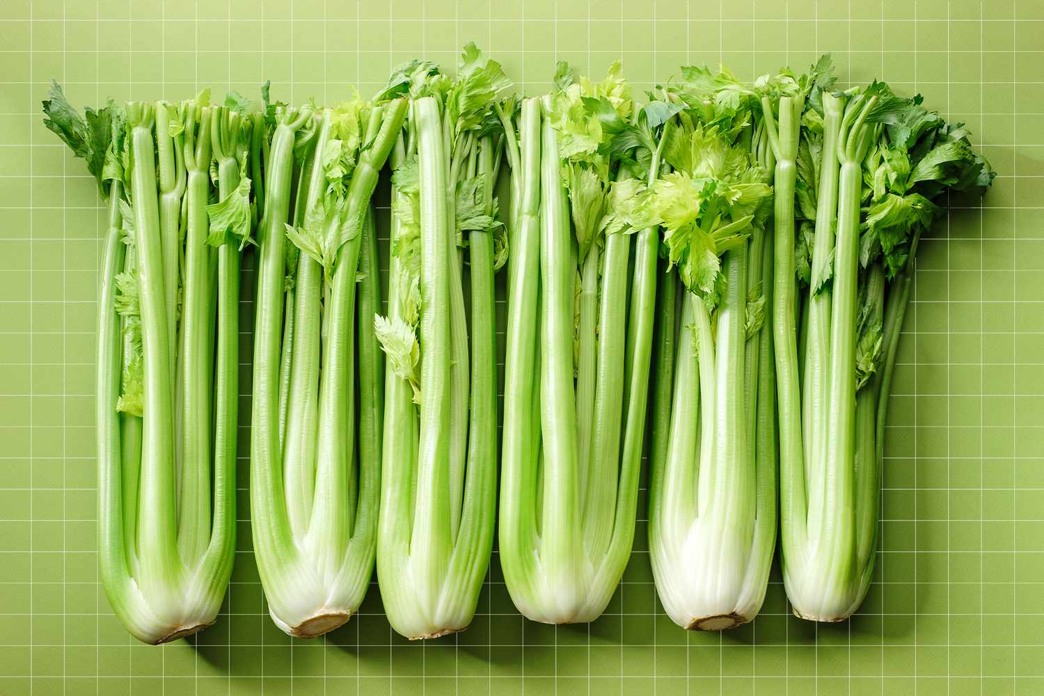what is a rib of celery