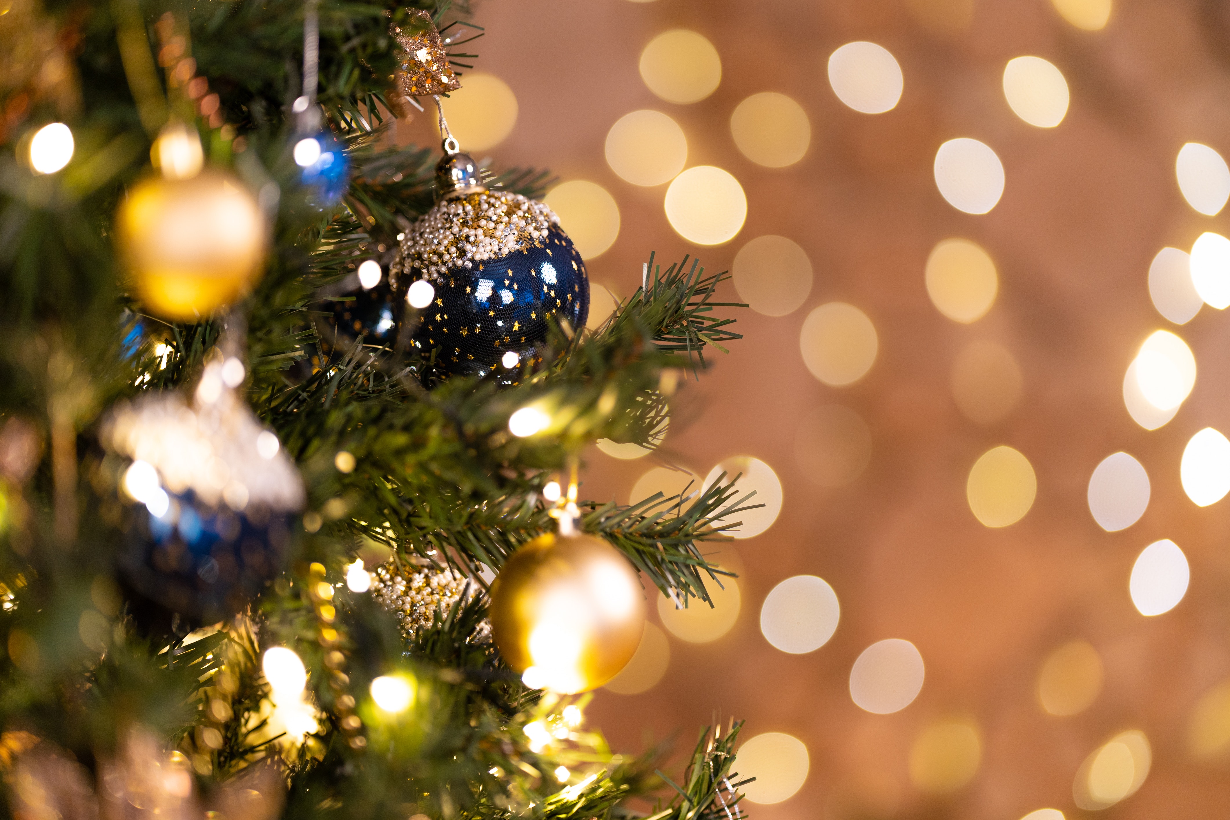 which country is the largest exporter of christmas trees