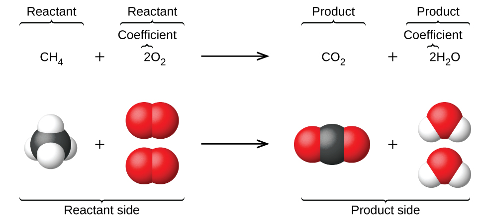 which symbol in a chemical equation separates the reactants from the products? = â†’ > +