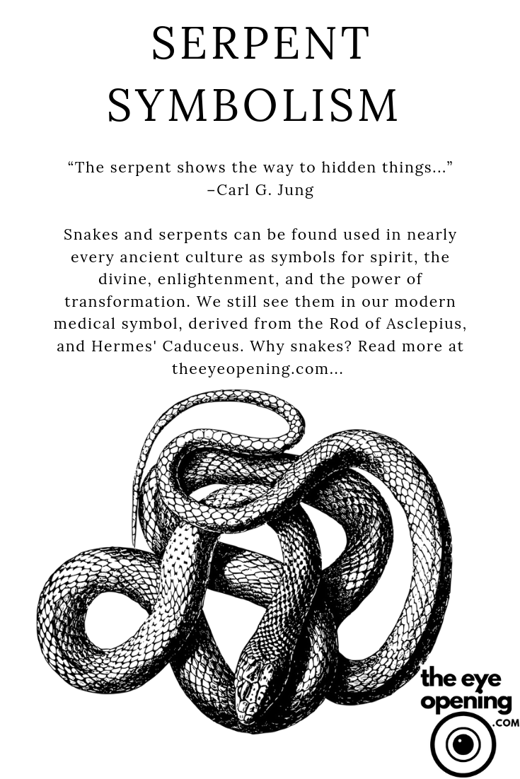 what does it mean to call someone a snake