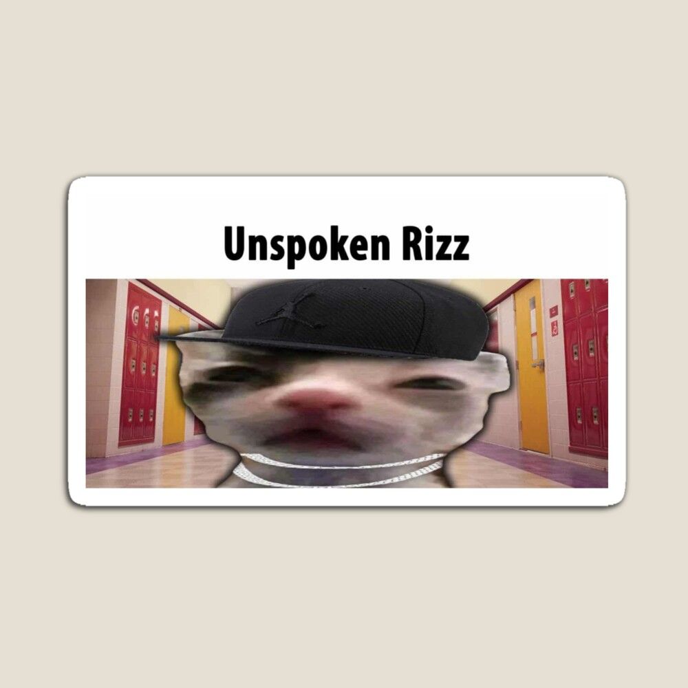 what is a rizz
