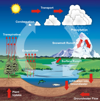 what does gravity do to cause rain to happen?