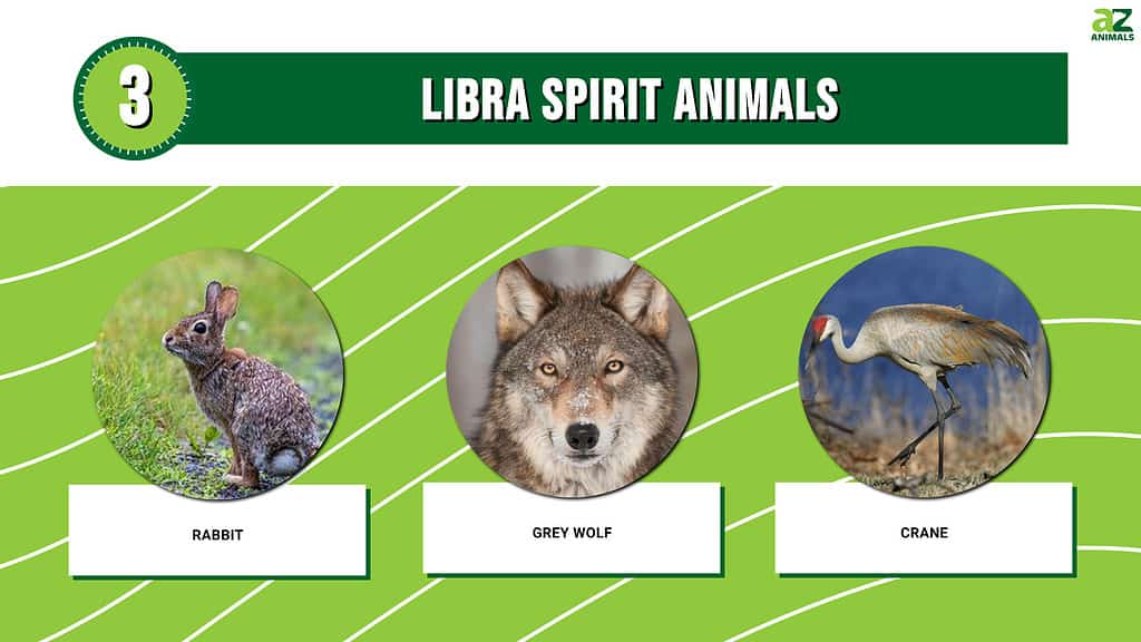 what is libra spirit animal