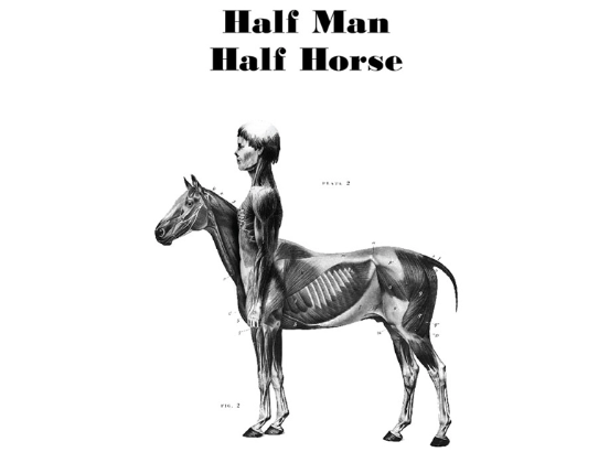 what do you call a half man half horse