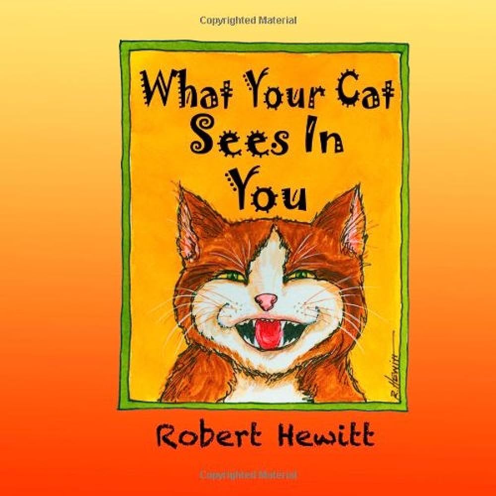 what the cat sees book