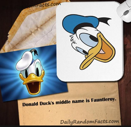 middle name of donald duck