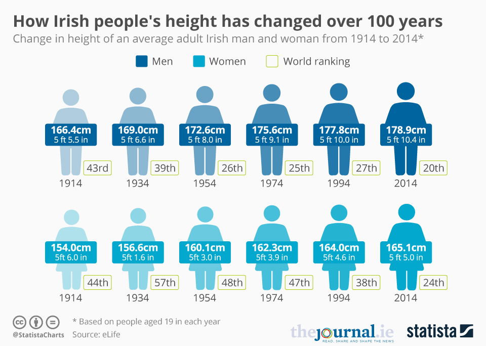 average height for 8th grade boy