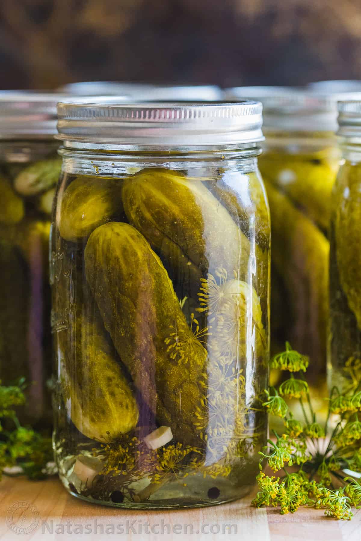 dill vs kosher dill